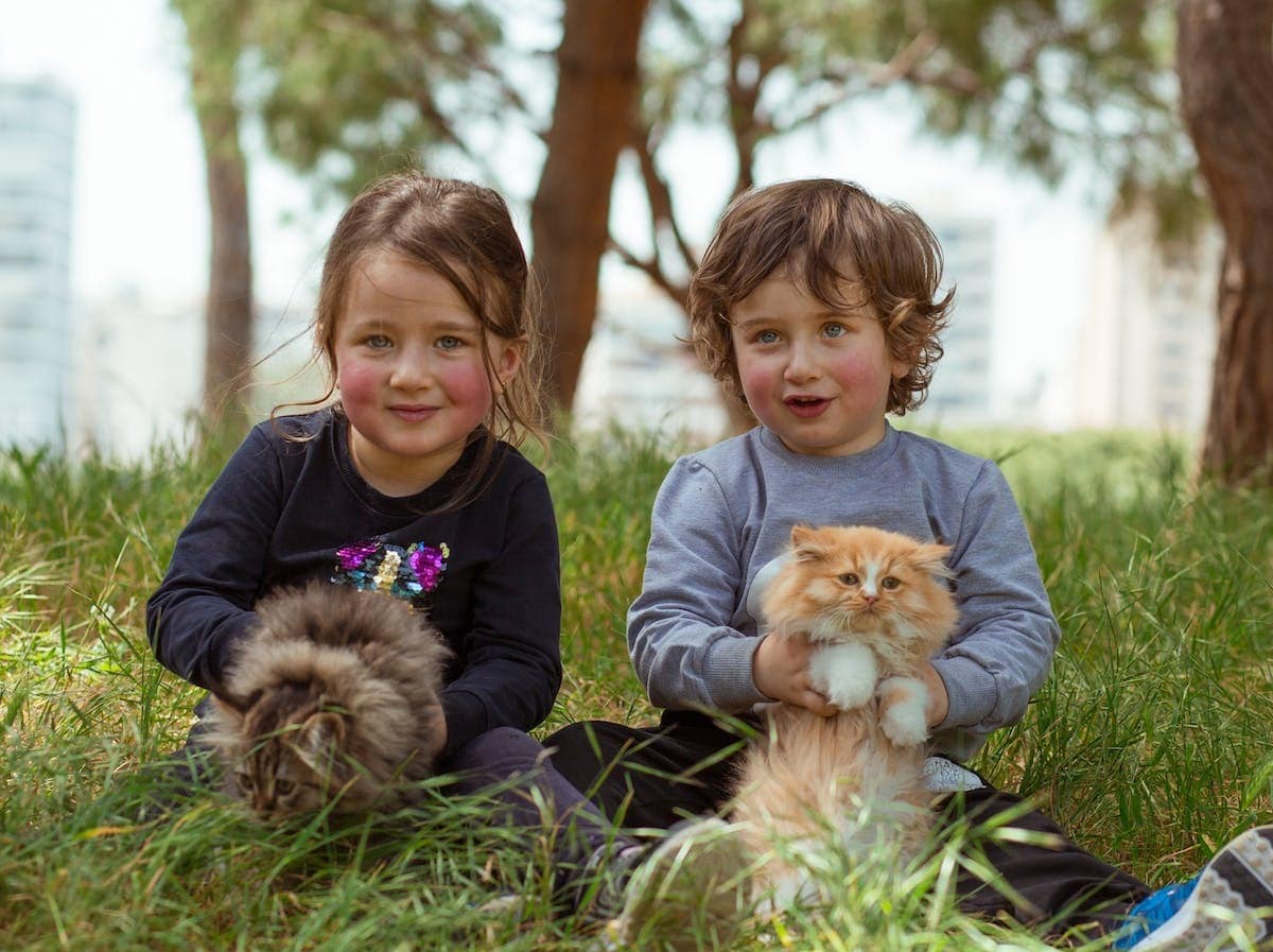 Favoriser une relation équilibrée entre les enfants et les animaux